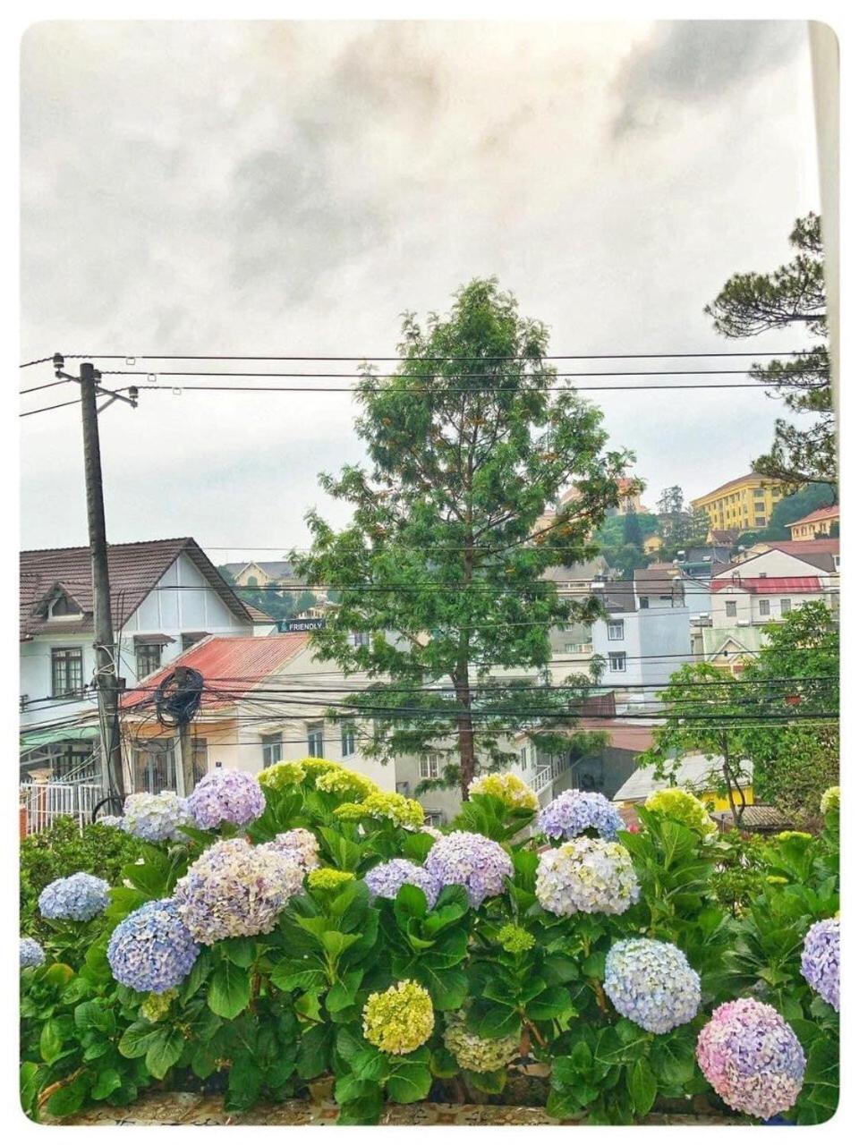 Biet Thu Trang Da Lat Villa Eksteriør bilde